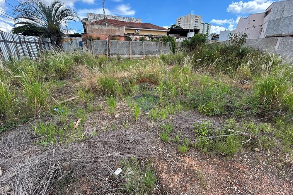 Terreno - Venda - Nova Odessa , São Paulo - IMG_3069.JPG - 690641010-580