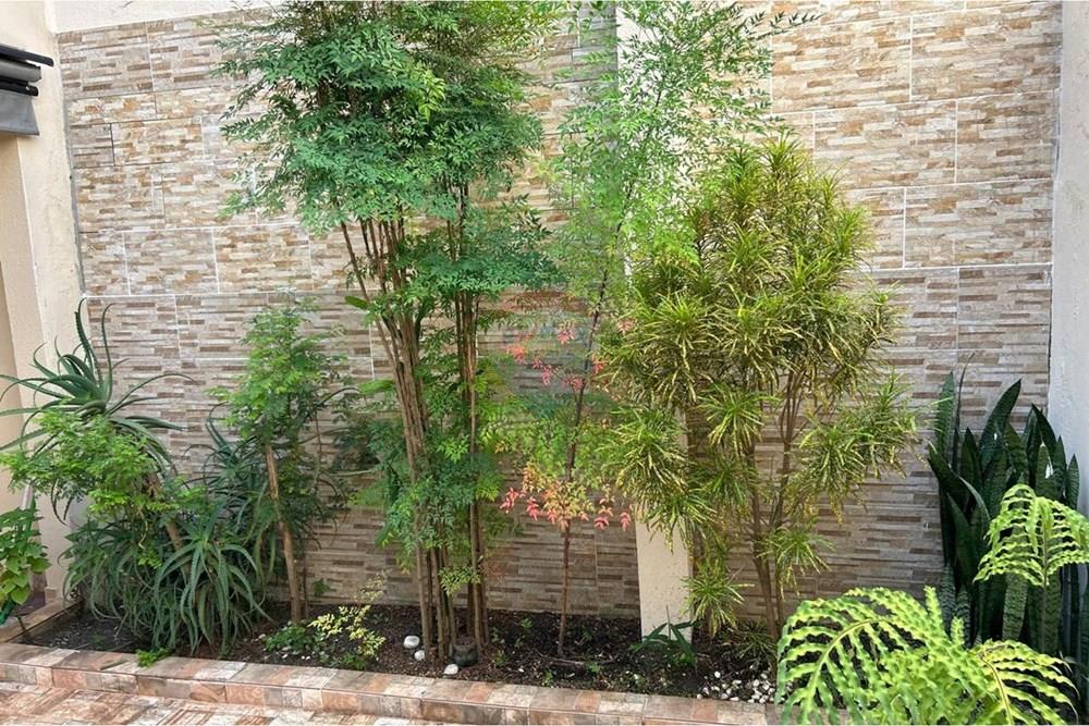 Chácara / Sítio / Fazenda - Venda - Jarinu , São Paulo - WhatsApp Image 2026-01-29 at 17.29.33 (6).jpeg - 690661027-150