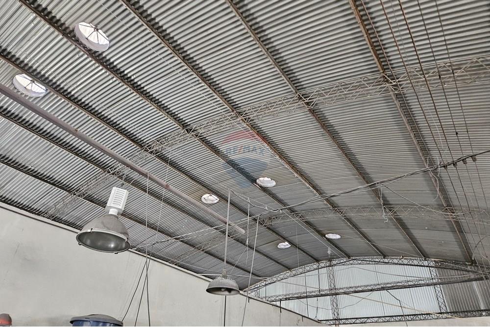 Galpão - Venda - Cosmópolis , São Paulo - 20251211_091659.jpg - 690831005-1083