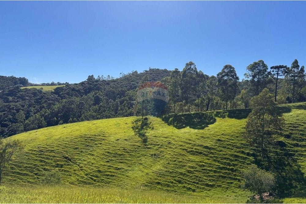 Chácara / Sítio / Fazenda - Venda - Joanópolis , São Paulo - photo_5019343269280201160_y.jpg - 690041001-120