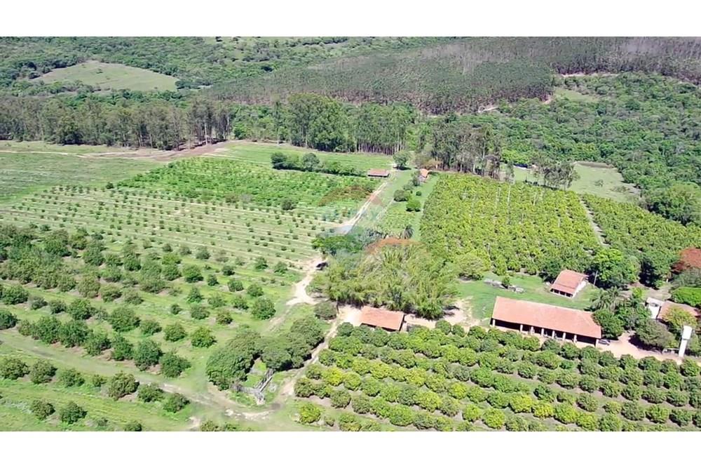 Fazenda - Venda - Analândia , São Paulo - 68a26165-94ff-433a-9399-5a7e9807c13b.jpg - 690691016-305