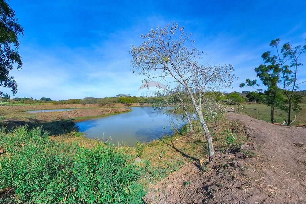 Chácara / Sítio / Fazenda - Venda - Santa Cruz da Conceição , São Paulo - Tratada-23.jpg - 690481001-177