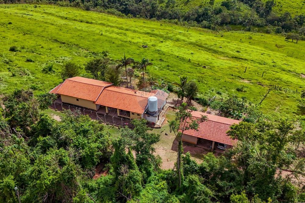 Fazenda - Venda - Analândia , São Paulo - Tratada - Drone-58.jpg - 690691016-305