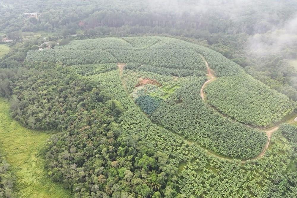 Fazenda - Venda - Jacupiranga , São Paulo - WhatsApp Image 2026-03-02 at 20.10.25 (1).jpeg - 690061037-12