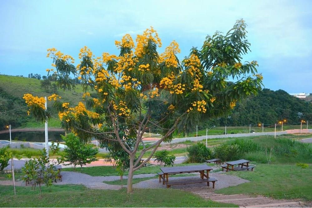 Terreno - Venda - Itatiba , São Paulo - Praca-Piquenique-Ecologie-Residencial-Itatiba (1).jpg - 690661002-99