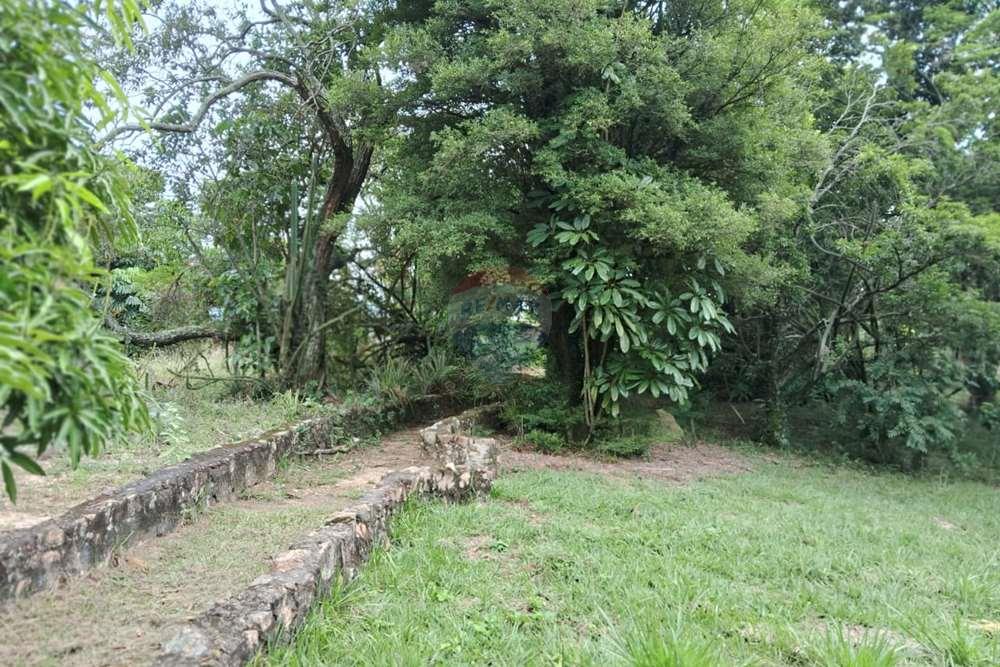 Chácara / Sítio / Fazenda - Venda - Valinhos , São Paulo - foto 20.jpg - 690851076-164