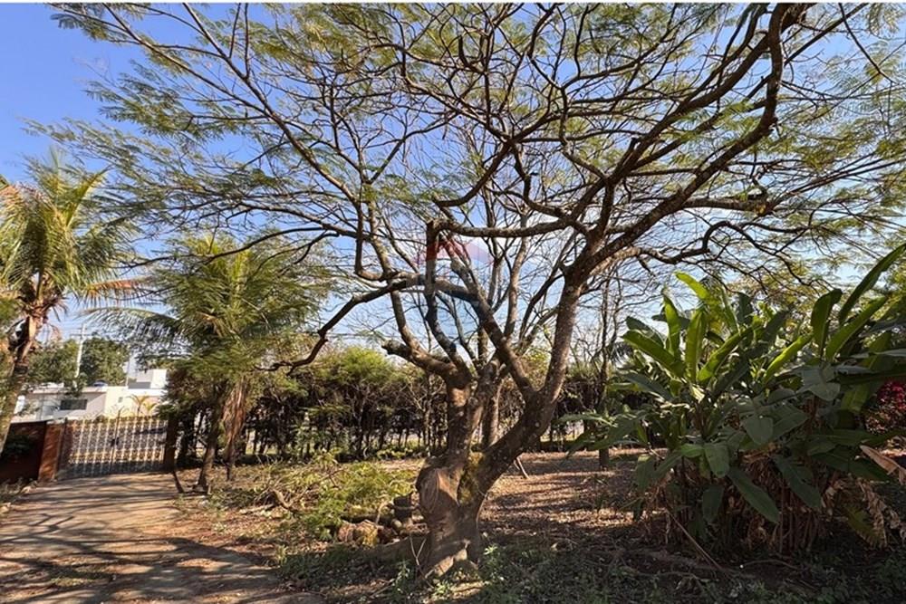 Chácara / Sítio / Fazenda - Venda - Capivari , São Paulo - Imagem do WhatsApp de 2025-08-22 à(s) 10.00.51_ca48248f.jpg - 690091006-531