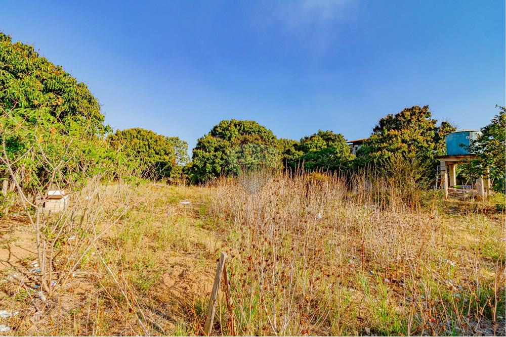 Chácara / Sítio / Fazenda - Venda - Atibaia , São Paulo - RINF-122.jpg - 690921066-72