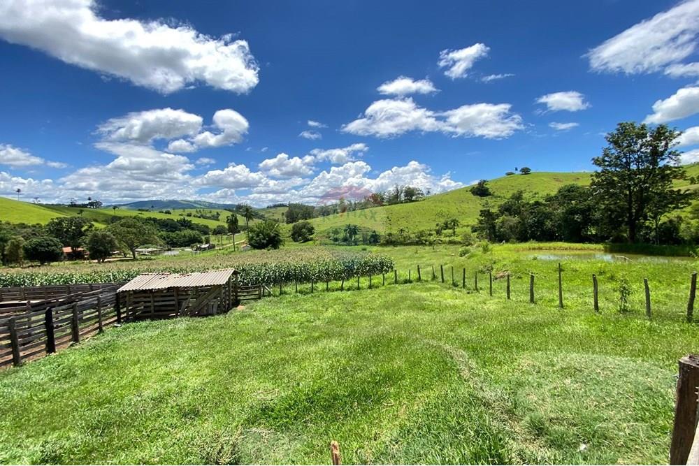 Chácara / Sítio / Fazenda - Venda - Lindóia , São Paulo - Imagem do WhatsApp de 2025-02-25 à(s) 19.33.43_9b07efdb.jpg - 690291077-296