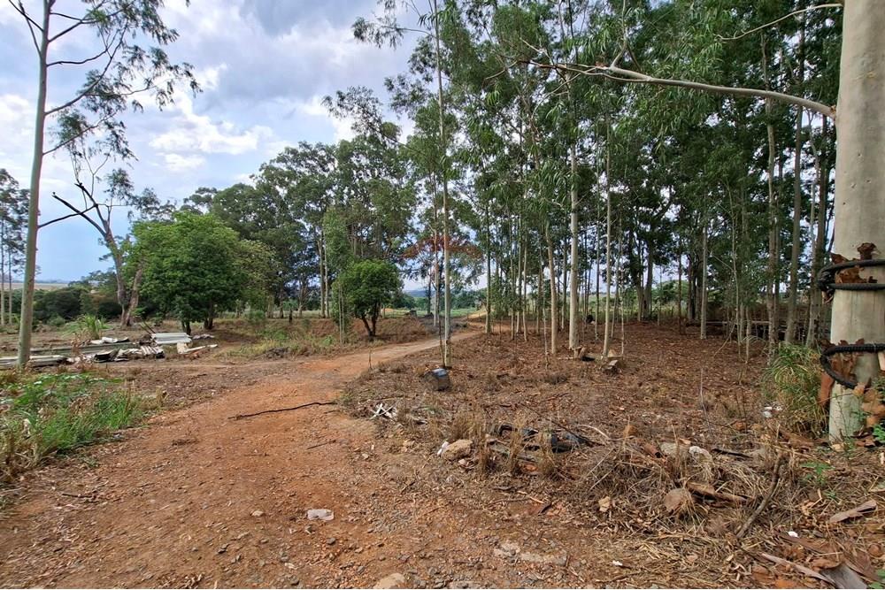 Galpão - Alugar - Mogi Mirim , São Paulo - 20251028_150159.jpg - 690751049-274