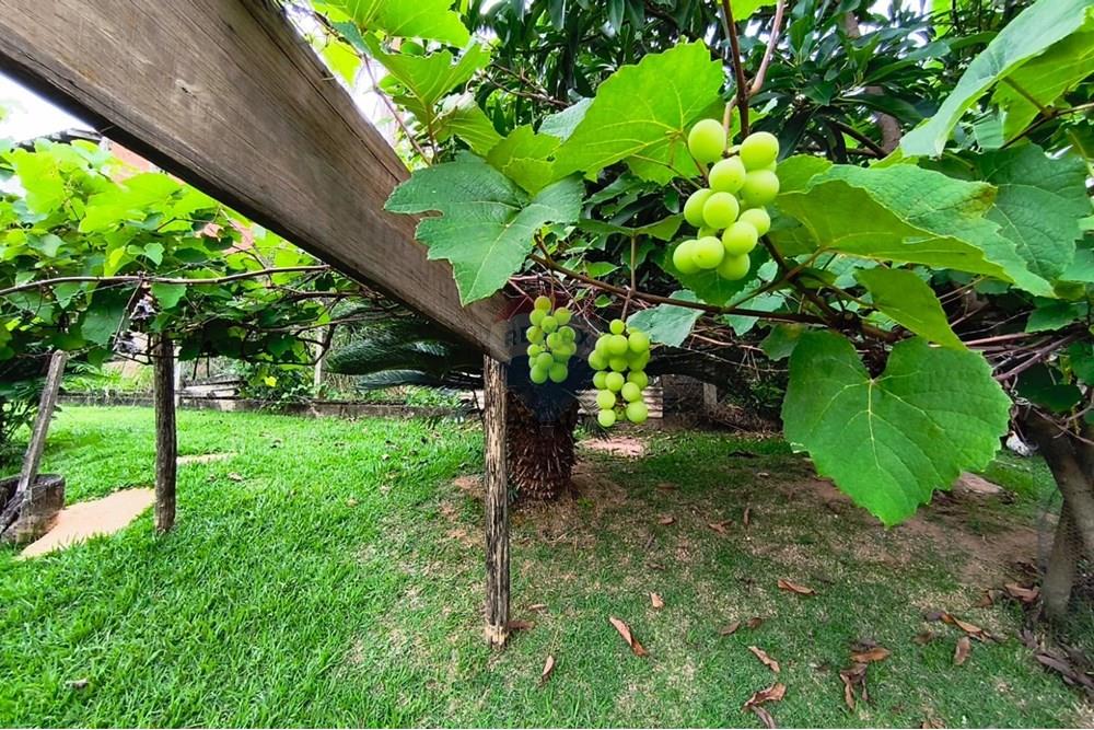 Terreno - Venda - Mogi Guaçu , São Paulo - WhatsApp Image 2025-04-25 at 17.30.52.jpeg - 690521018-181