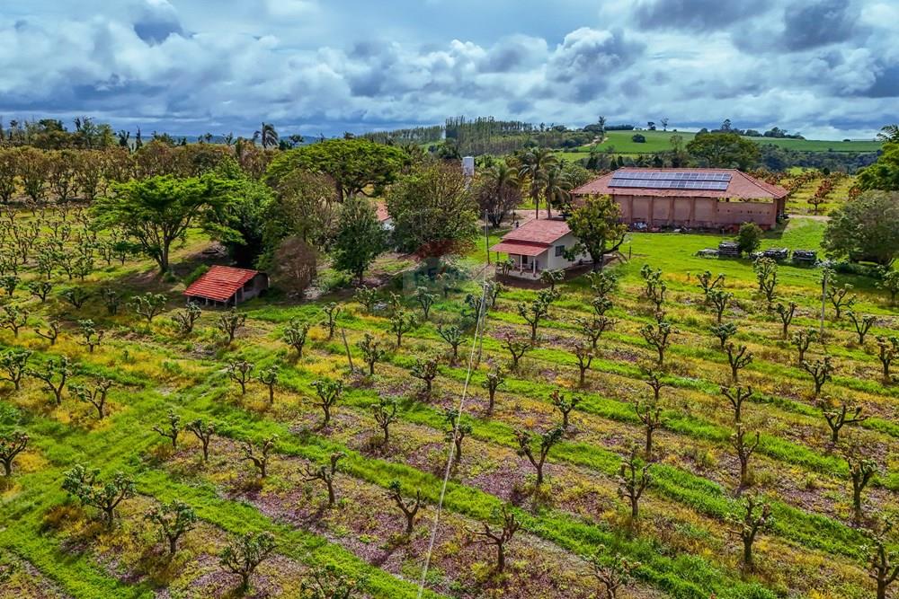 Fazenda - Venda - Analândia , São Paulo - Tratada - Drone-53.jpg - 690691016-305