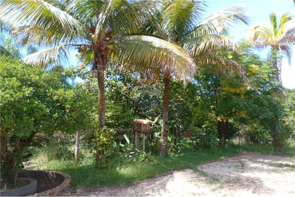 Chácara / Sítio / Fazenda - Venda - Mogi Mirim , São Paulo - 3 - 690751050-558