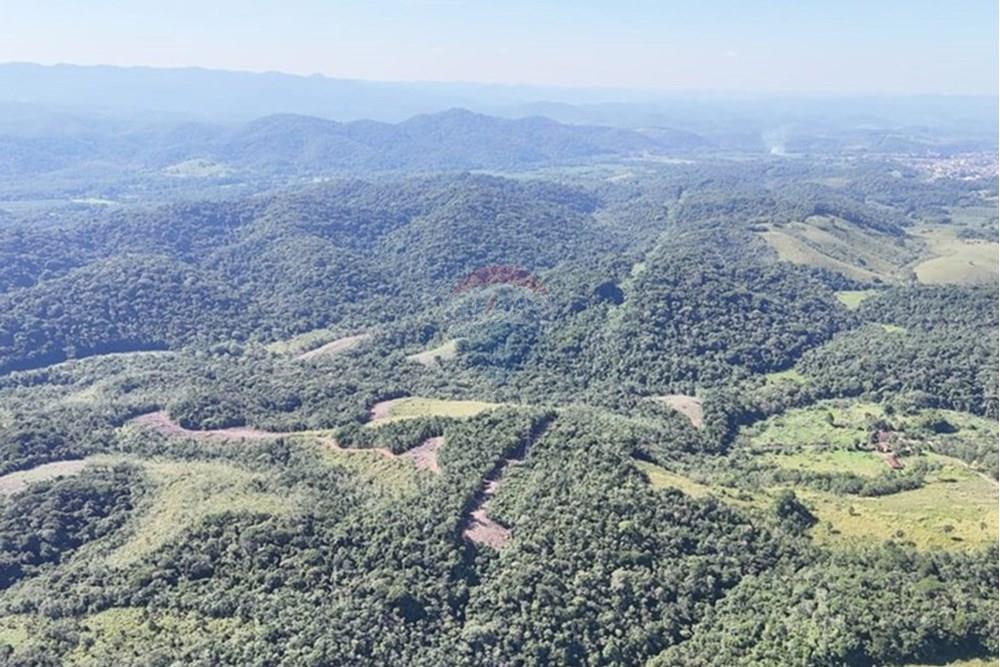 Fazenda - Venda - Miracatu , São Paulo - WhatsApp Image 2025-05-20 at 13.34.36 (2).jpeg - 690061038-9