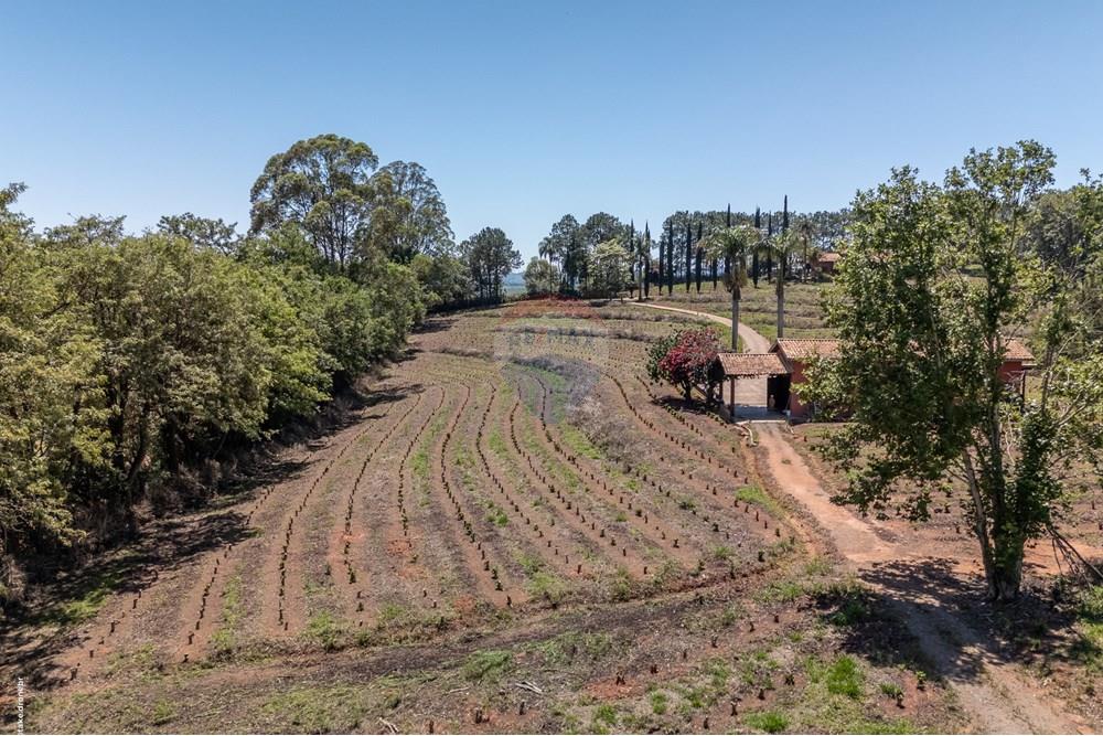 Chácara / Sítio / Fazenda - Venda - Morungaba , São Paulo - TKD-9532.jpg - 690661002-89