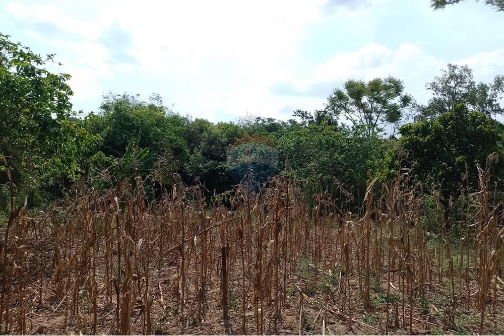 Terreno - Venda - Cosmópolis , São Paulo - fachada (8).jpg - Jardim Interno - 690511357-364