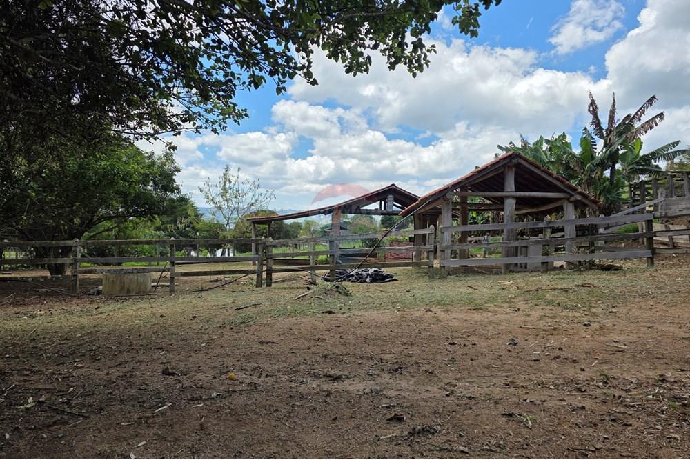 Chácara / Sítio / Fazenda - Venda - Pedra Bela , São Paulo - 20251111_120726.jpg - 690041041-48
