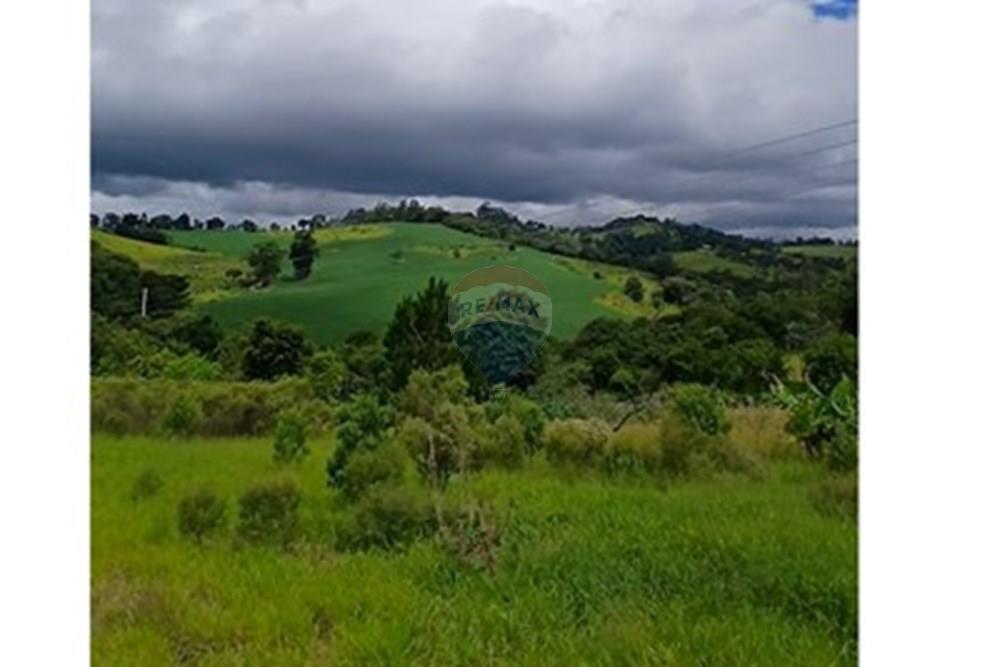 Chácara / Sítio / Fazenda - Venda - Pinhalzinho , São Paulo - Screenshot_20260128_163308_Photos.jpg - 690141085-40
