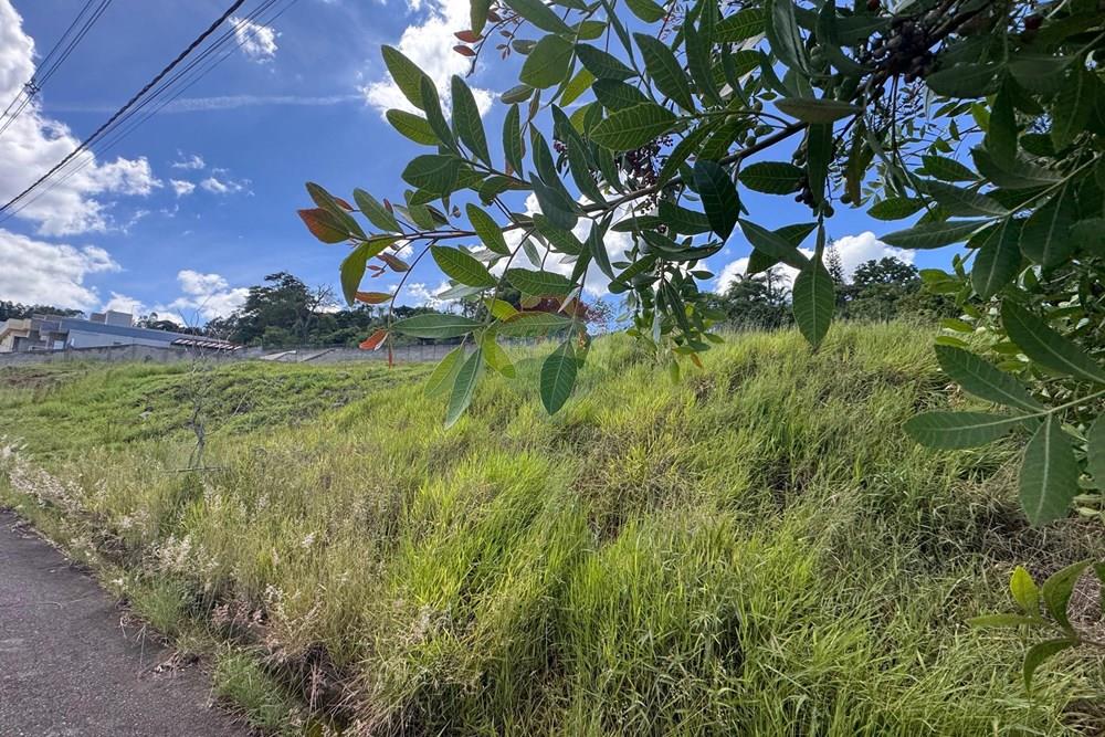 Terreno - Venda - Bragança Paulista , São Paulo - WhatsApp Image 2026-01-14 at 17.51.14 (1).jpeg - 690041052-132