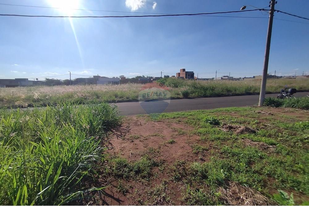Terreno - Venda - Mogi Guaçu , São Paulo - IMG_20250430_153506.jpg - 690521005-80