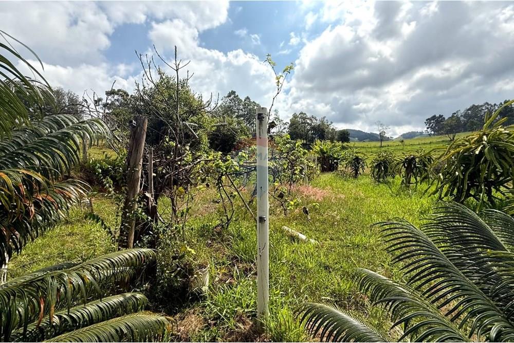 Chácara / Sítio / Fazenda - Venda - Itapira , São Paulo - WhatsApp Image 2025-04-16 at 08.26.30.jpeg - 690751048-152