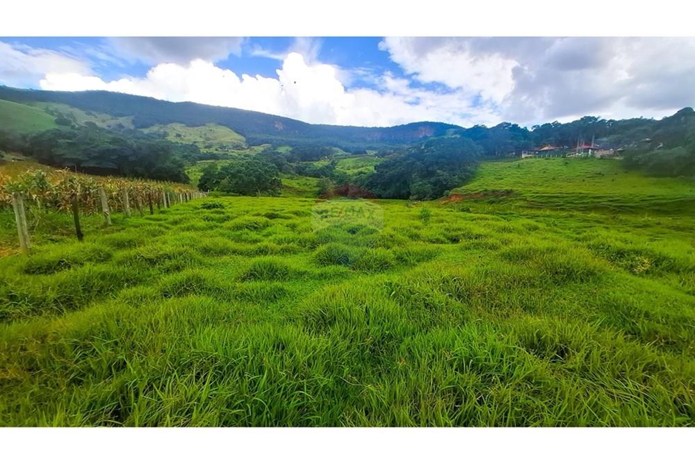 Terreno - Venda - Socorro , São Paulo - 20250319_150053.jpg - 690291056-27