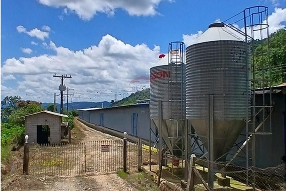 Chácara / Sítio / Fazenda - Venda - Bragança Paulista , São Paulo - 20260213_124753.jpg - 690141085-32