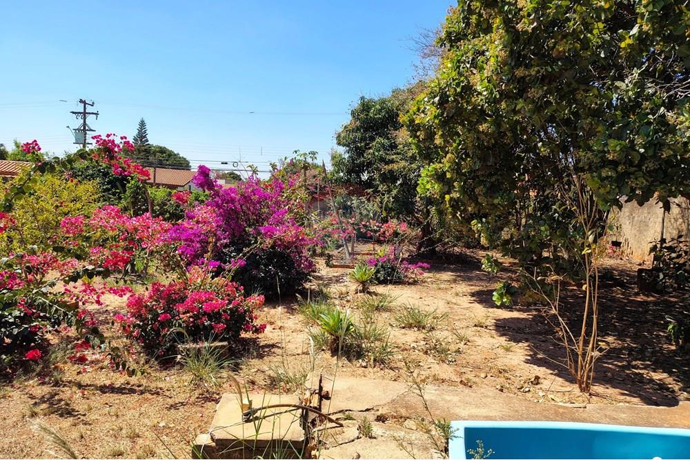 Chácara / Sítio / Fazenda - Venda - Cosmópolis , São Paulo - IMG_20250917_130444435_HDR-EDIT.jpg - 690511001-1554