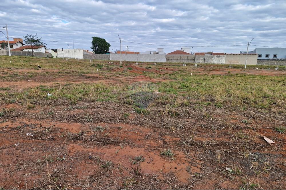 Terreno - Venda - Mogi Mirim , São Paulo - 20250710_082734.jpg - Jardim Externo - 690751034-116