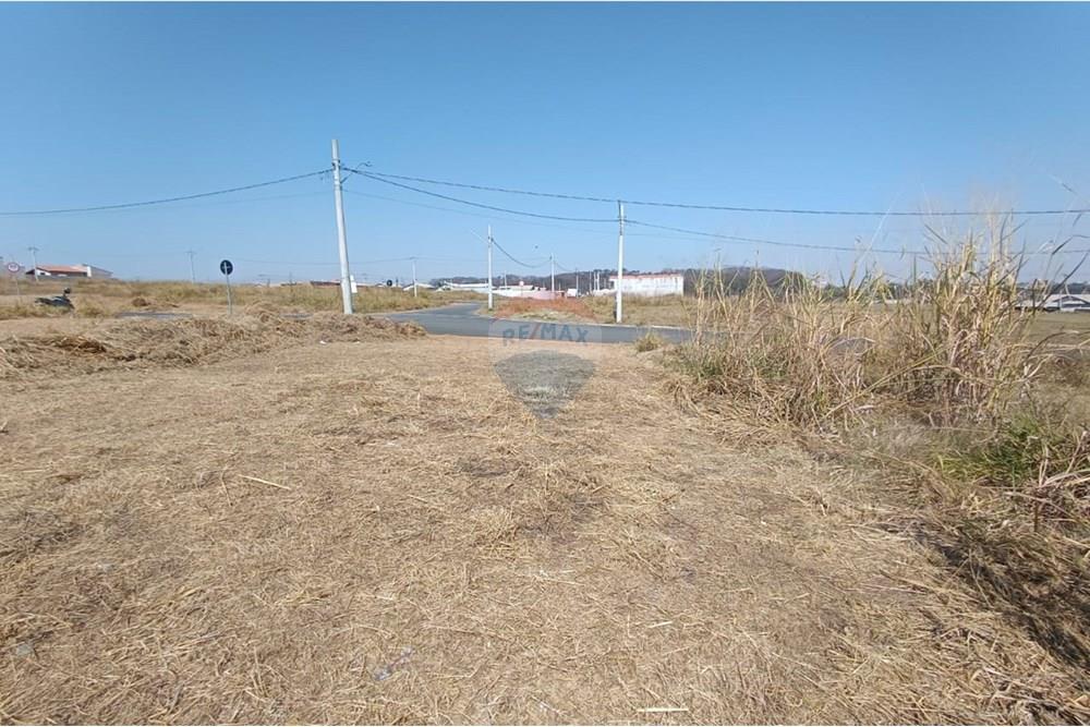 Terreno - Venda - Mogi Guaçu , São Paulo - WhatsApp Image 2025-07-22 at 13.07.01 (3).jpeg - Quintal - 690521005-196