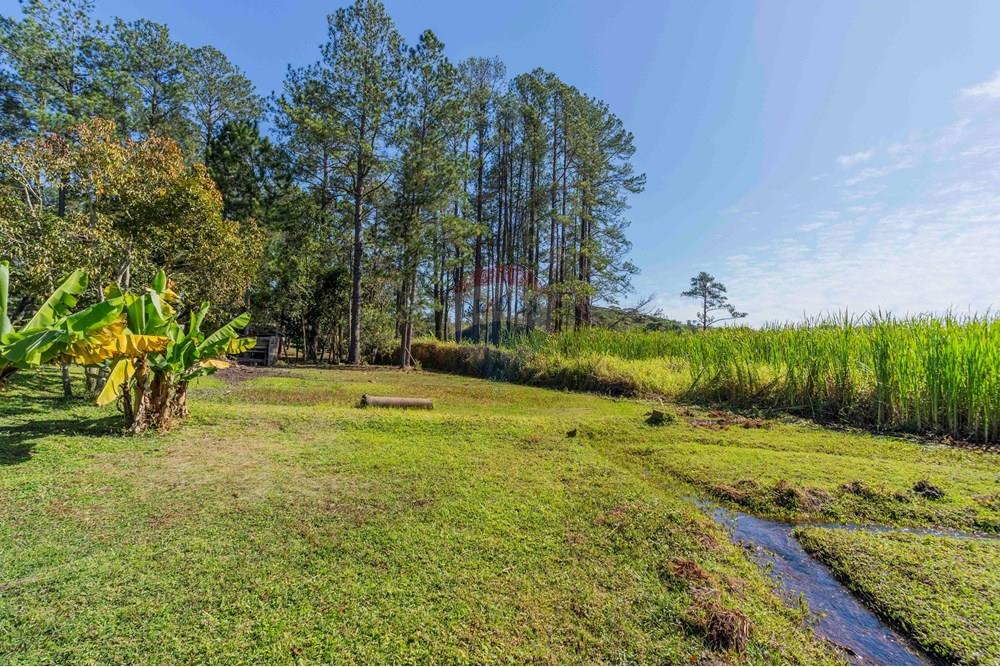 Chácara / Sítio / Fazenda - Venda - Itatiba , São Paulo - foto imobiliarias- brmaker00-362.jpg - 690661026-143