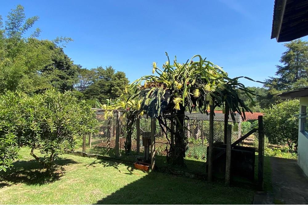 Chácara / Sítio / Fazenda - Venda - Jarinu , São Paulo - Z22A.JPEG - 691121002-22