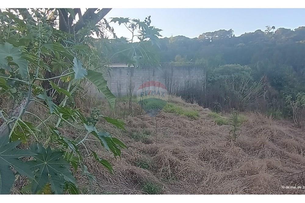 Terreno - Venda - Bragança Paulista , São Paulo - Imagem do WhatsApp de 2025-09-15 à(s) 11.54.04_e08520b3.jpg - 690041082-32