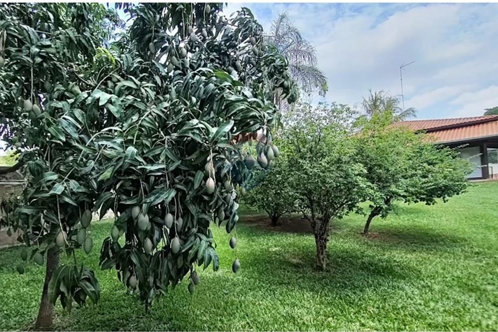 Chácara / Sítio / Fazenda - Venda - Paulínia , São Paulo - bdfcbcea-2219-44d8-9322-27dd64e92f15.jpeg - 690511152-112