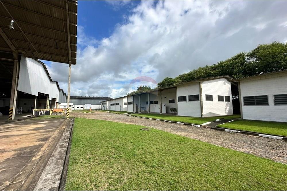 Galpão - Venda - Registro , São Paulo - WhatsApp Image 2025-06-09 at 11.52.50 (3).jpeg - 690061038-10