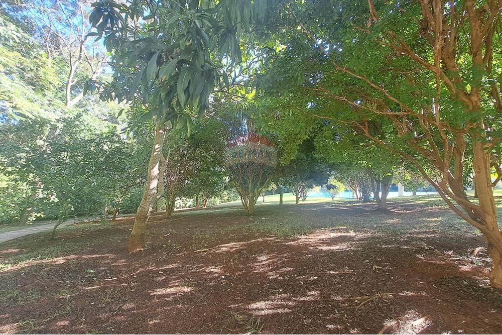 Terreno - Venda - Campinas , São Paulo - Pomar.jpg - 690681098-44