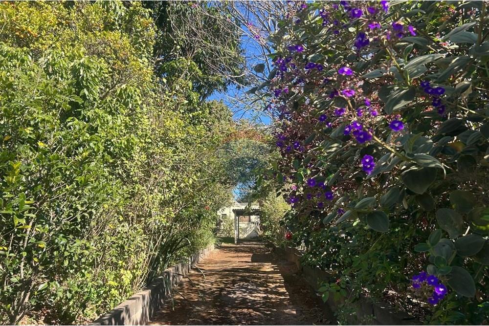 Chácara / Sítio / Fazenda - Venda - Itatiba , São Paulo - IMG-20250730-WA0055.jpg - 690661084-15