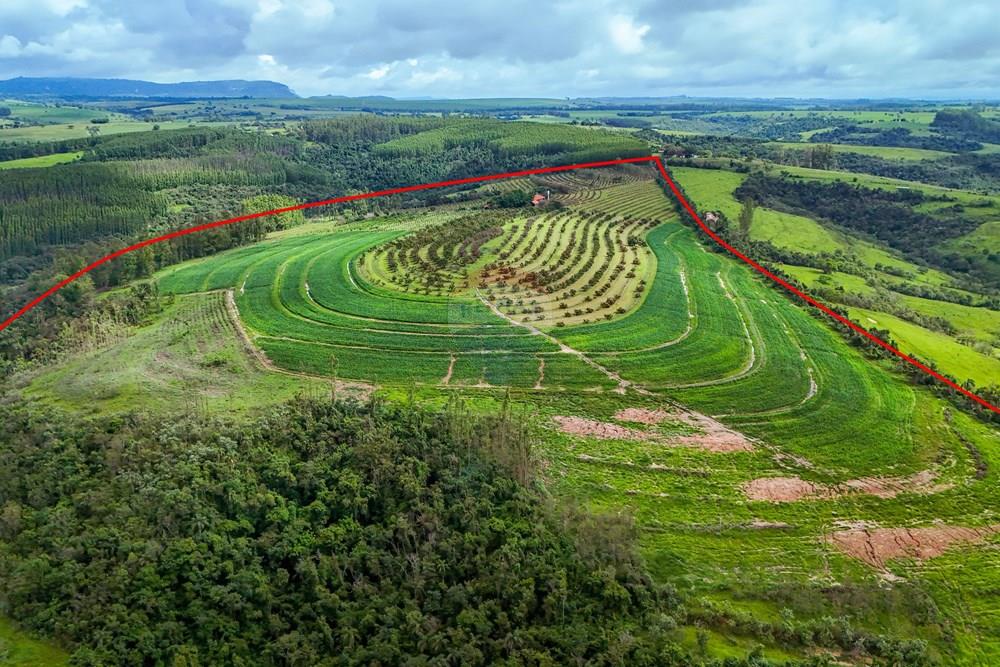 Fazenda - Venda - Analândia , São Paulo - Tratada - Drone-17.jpg - 690691016-305