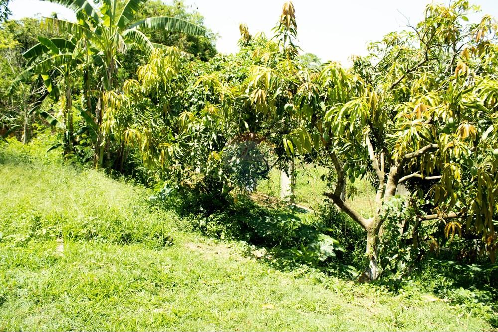 Terreno - Venda - Rio Claro , São Paulo - IMG_0253.jpg - 690811057-56