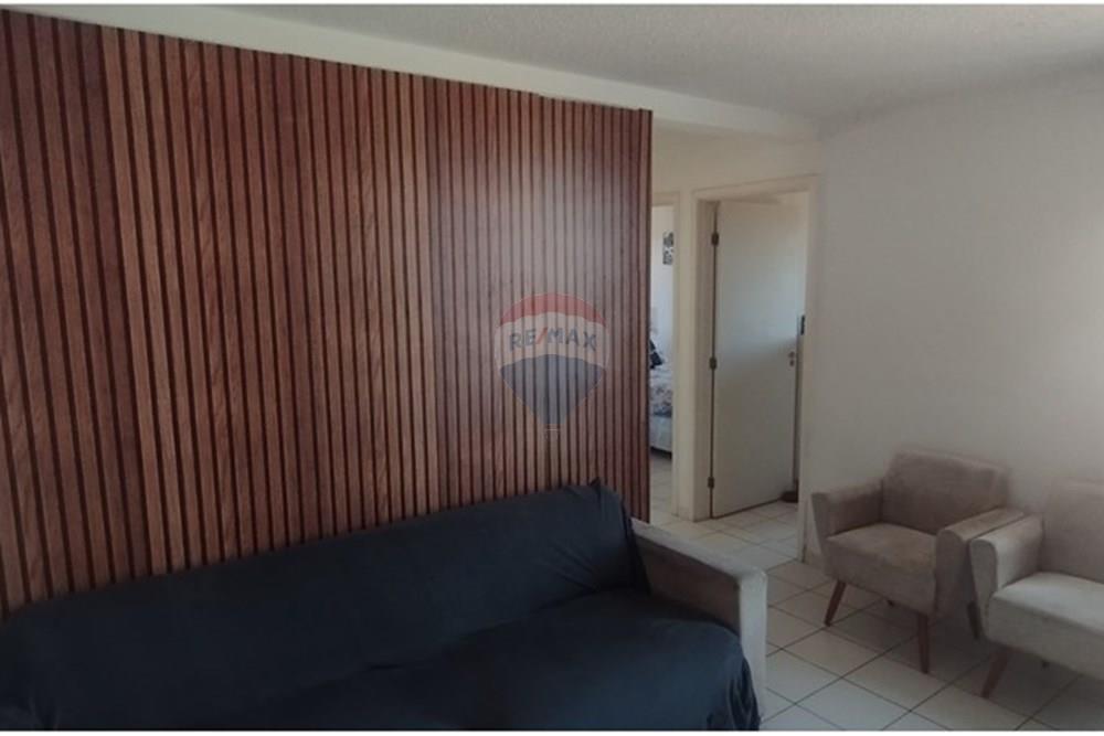 Apartamento - Venda - Limeira , São Paulo - 1748868113240.jpg - 690741066-7