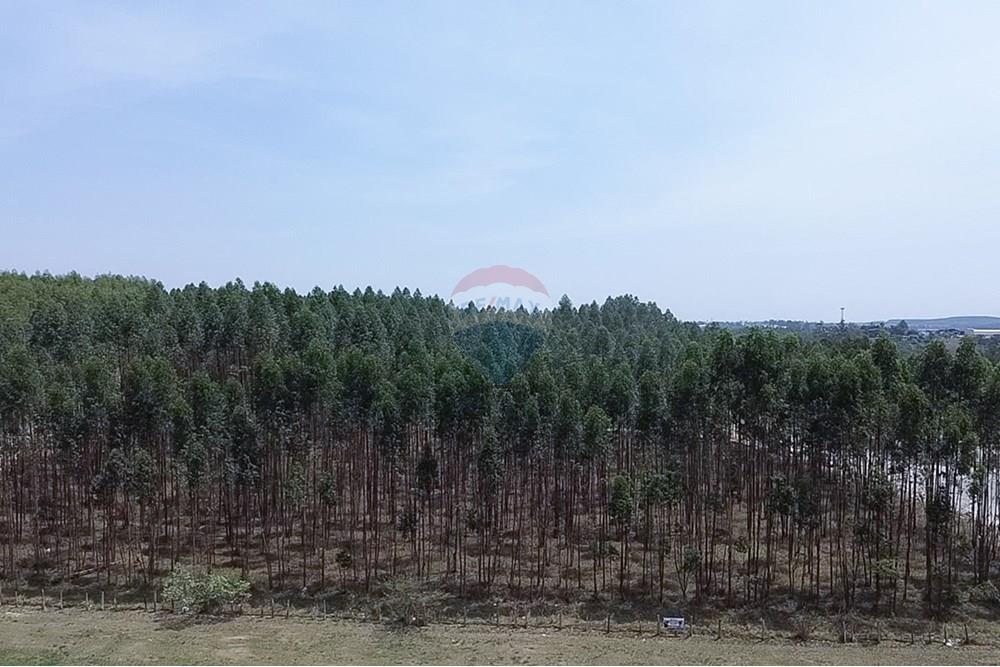 Terreno - Venda - Capivari , São Paulo - 2025-10-16-11-17-31-535.jpg - 690091006-562