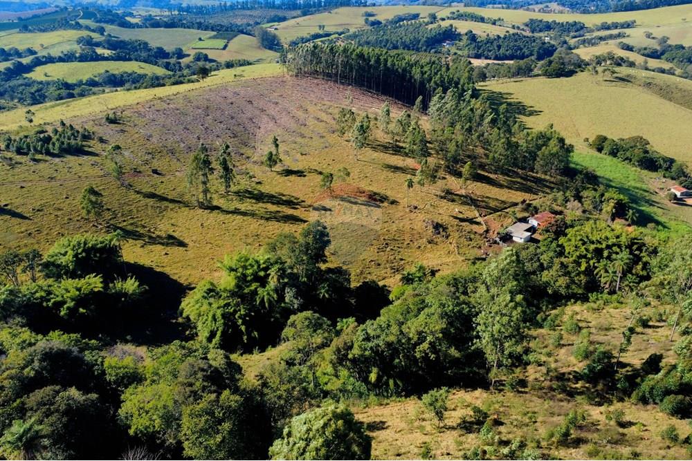 Chácara / Sítio / Fazenda - Venda - Socorro , São Paulo - dji_fly_20250617_095056_216_1750164664787_photo_optimized.jpg - 690291056-39