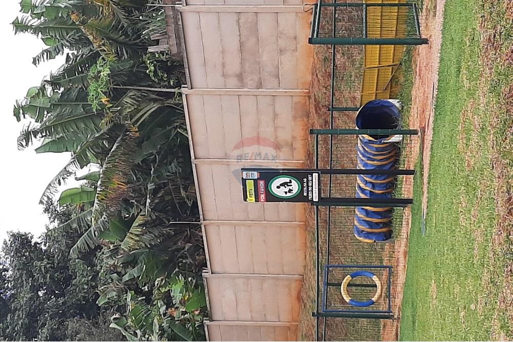 Apartamento - Alugar - Paulínia , São Paulo - 20250410_110040.jpg - 690511211-2