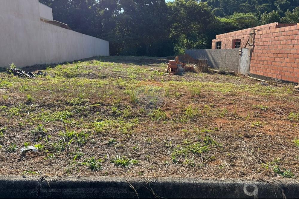 Terreno - Venda - Tuiuti , São Paulo - WhatsApp Image 2026-03-30 at 08.55.16 (1).jpeg - 690511333-41