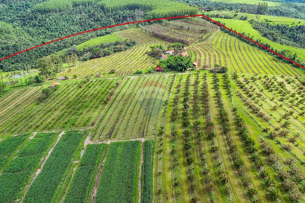 Fazenda - Venda - Analândia , São Paulo - Tratada - Drone-25.jpg - 690691016-305