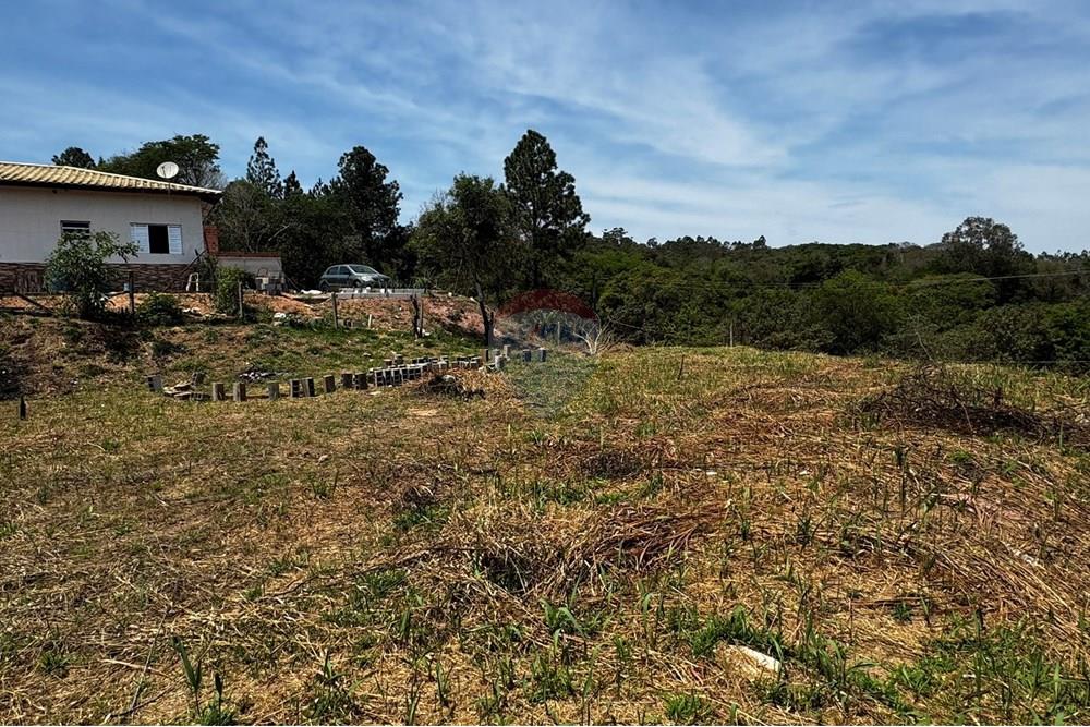Terreno - Venda - Jarinu , São Paulo - IMG_3331.JPEG - 691121003-32