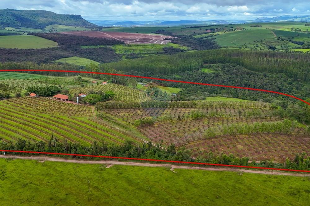 Fazenda - Venda - Analândia , São Paulo - Tratada - Drone-6.jpg - 690691016-305