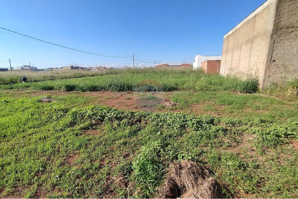 Terreno - Venda - Mogi Guaçu , São Paulo - IMG_20250430_153435.jpg - 690521005-80