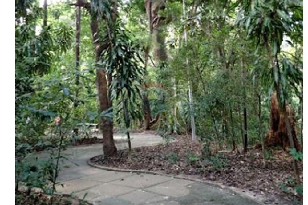 Terreno - Venda - Campinas , São Paulo - Bosque 4.JPG - 690541103-274