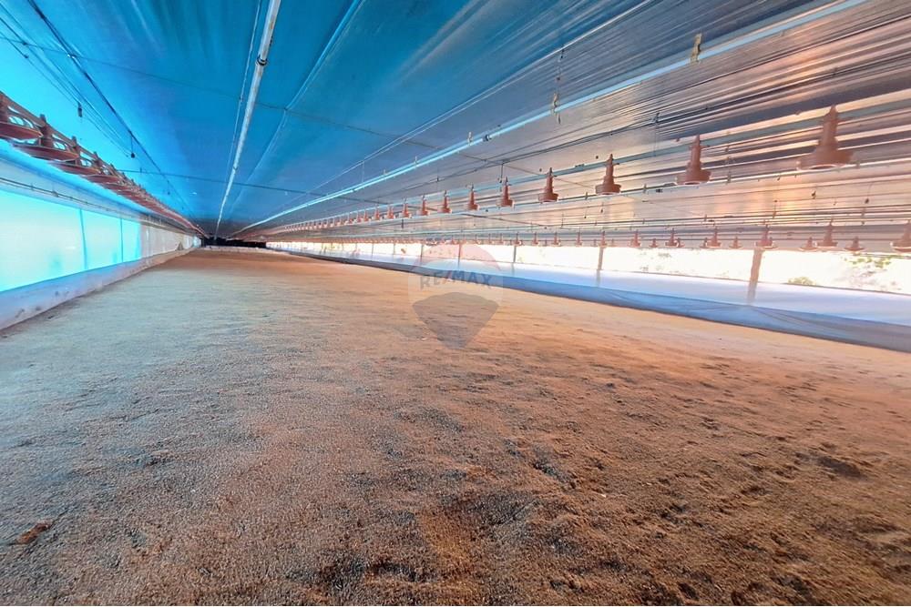 Chácara / Sítio / Fazenda - Venda - Itapira , São Paulo - 20250626_093031.jpg - 690751048-290